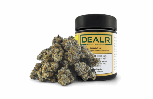 DEALR-Baccarat14g-600x388.png