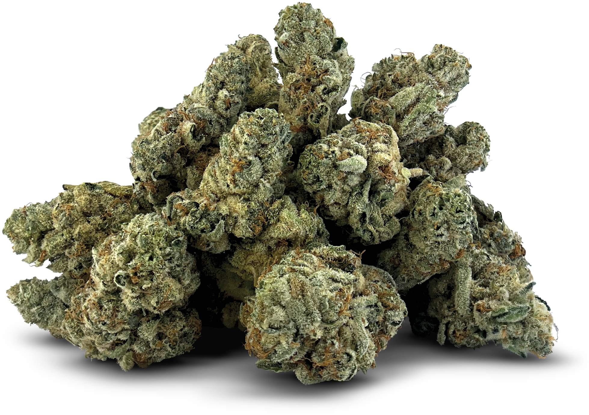 Old Money 14g – DEALR Cannabis