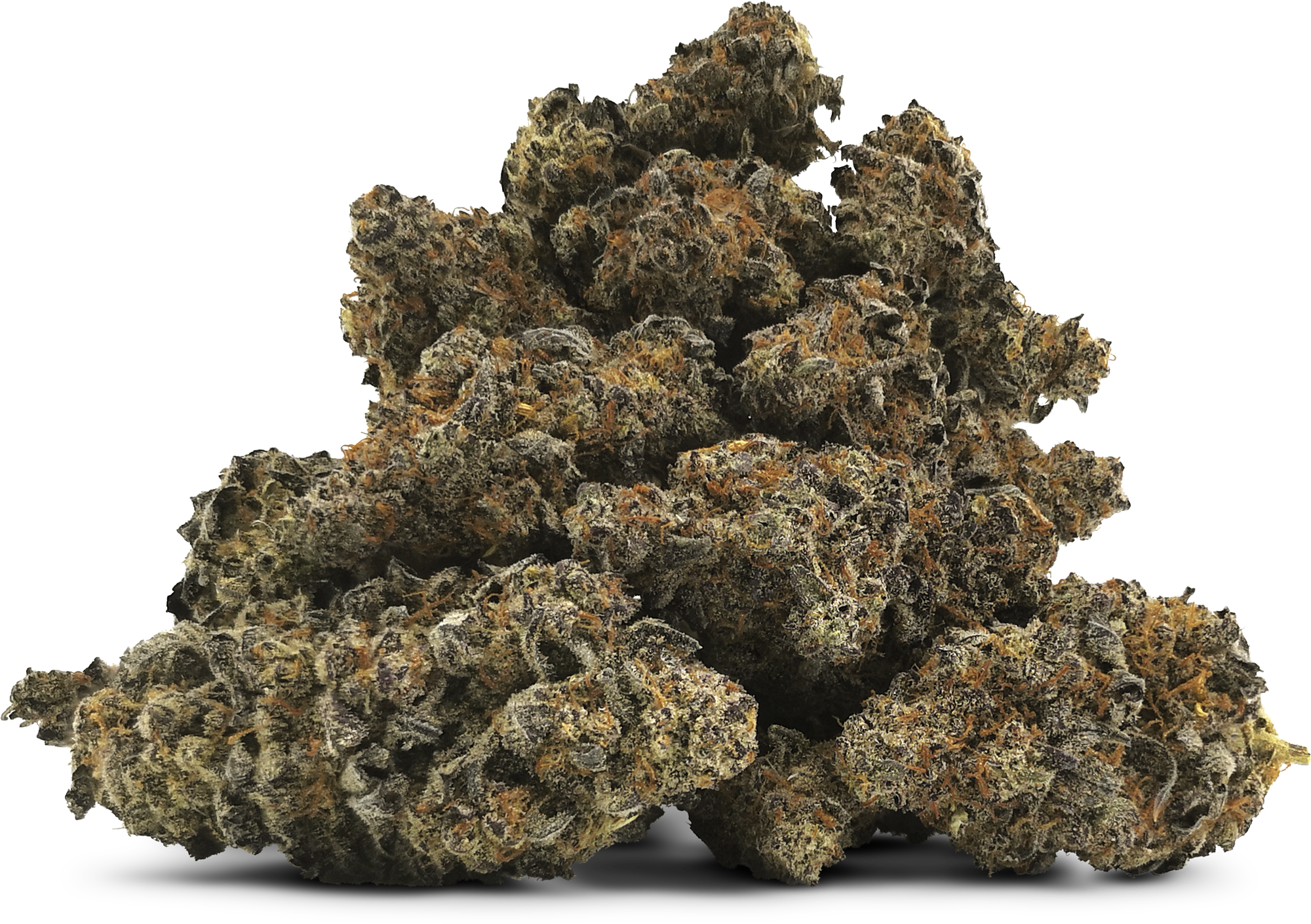9 lb Hammer 28g – DEALR Cannabis