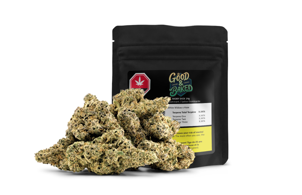 Moby Dick 14g
